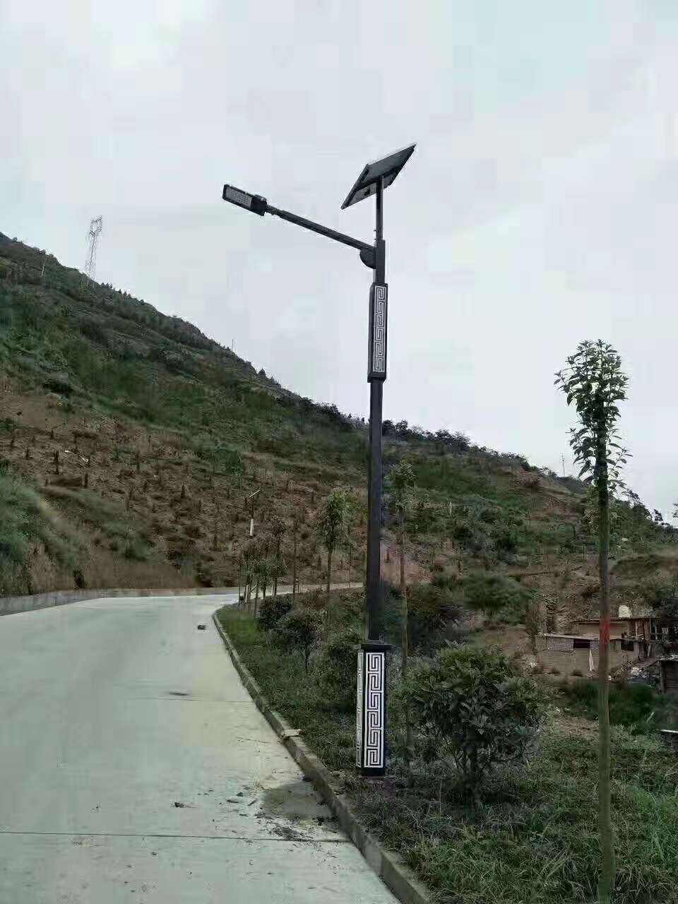 东凤镇仿古太阳能路灯